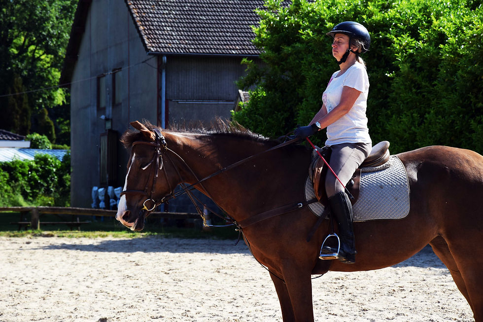Le cheval en toute confiance