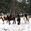 Miniature : Balade à cheval - 2 heures
