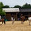 Miniature : Cours - équitation classique - initiation