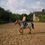 Miniature : Travail sur le plat