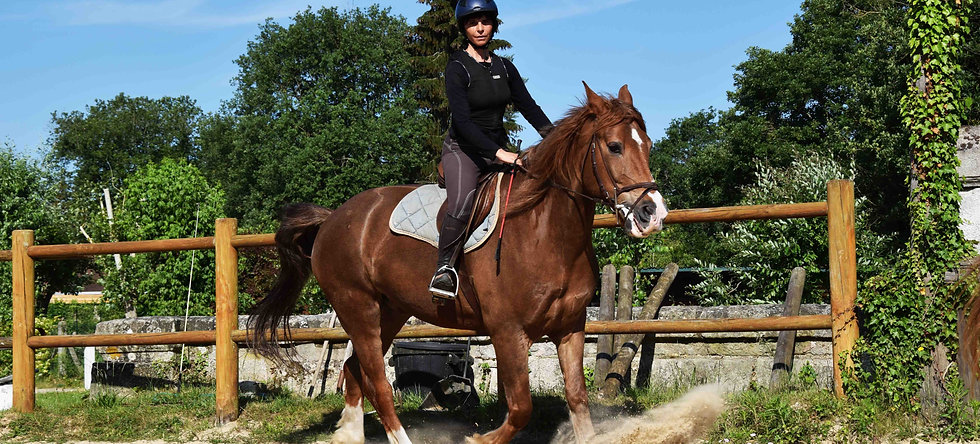Cours - équitation classique - initiation