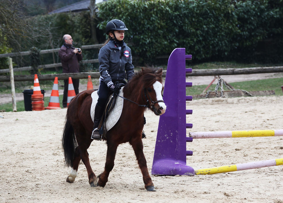Miniature : Stage demi-journée poney