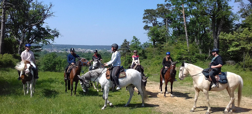 Week end à Fontainebleau via Bois le Roi
