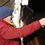 Miniature : Le cheval en toute confiance