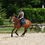 Miniature : Demi journée cheval - équitation classique