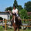 Miniature : Cours - équitation classique - initiation