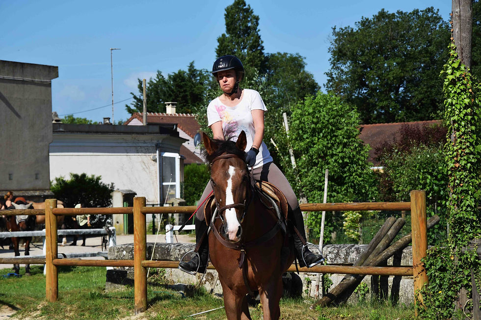 Miniature : Cours - équitation classique - initiation