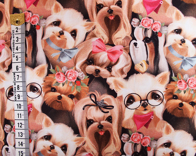Thumbnail: Cute Small Dogs in Glasses