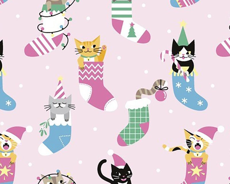 Cats in Stockings