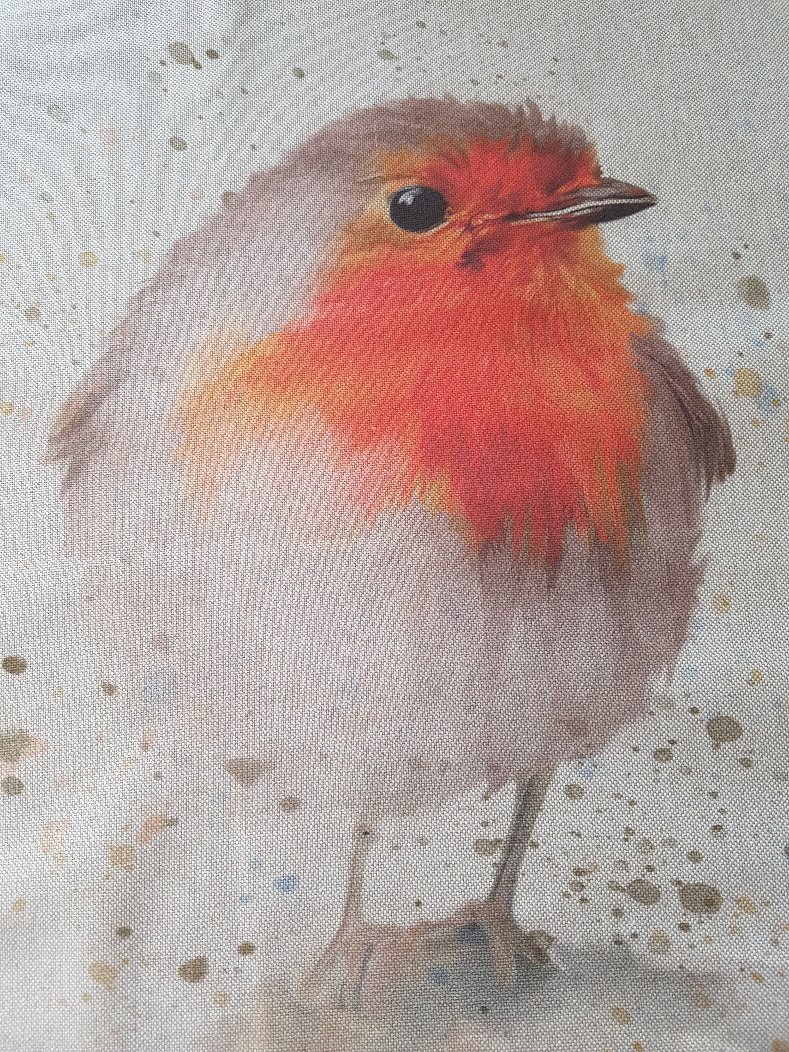 Robin Panel
