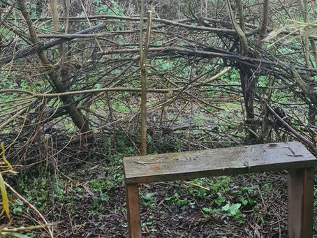 Weather change! November 2025