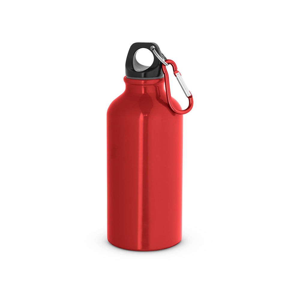 Miniatura: LANDSCAPE SHINNY. Garrafa esportiva em alumínio com acabamento brilhante (400ml)