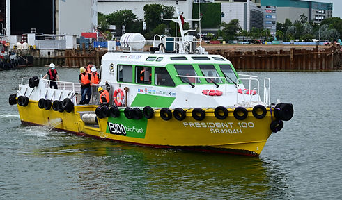 p100 2_edited.jpg