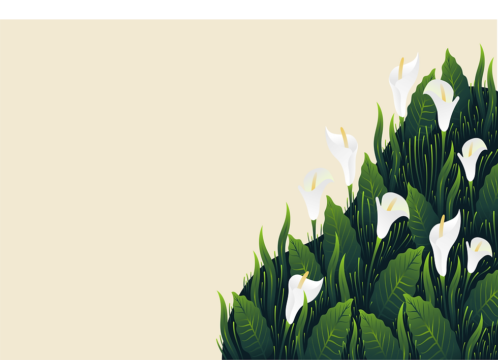 Compressed Page.png