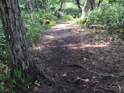 	富士山への道のり第二弾