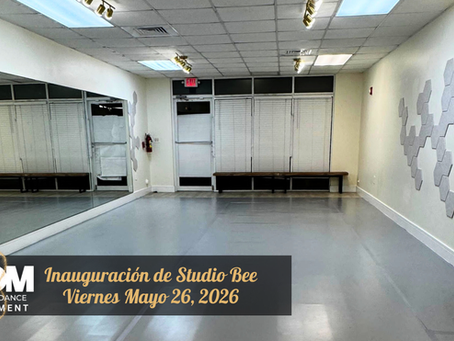 Estudio de danza Studio Bee listo para su inauguración oficial con diseño moderno y luminoso.