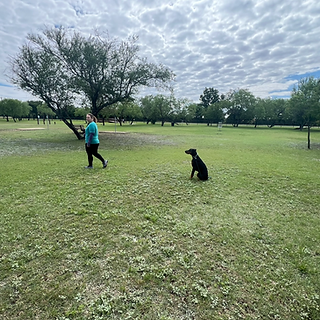 Screenshot 2025-06-19 132504.png