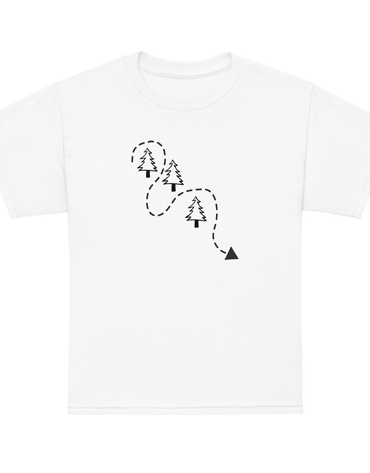 Trail through the woods