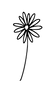 AdobeStock_528244423  47.png