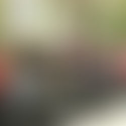 Niemi Family Farm #16