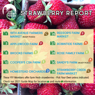 STRAWBERRY SEASON - 2021