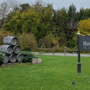 Farm Feature Interview: Holland Marsh Wineries