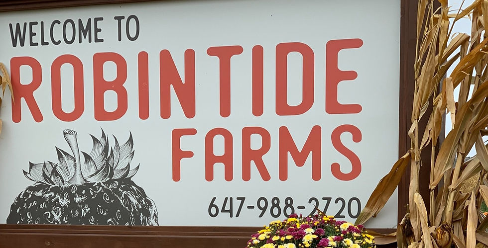 Farm Feature Interview: Robintide Farms