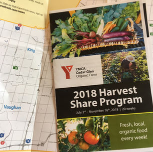 YMCA Cedar Glen Organic Farm #30