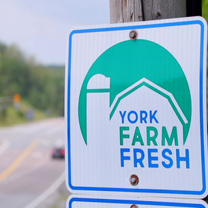 YFF Farm markets