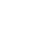 2024 HEAD SPA Wix Icon White 02.png