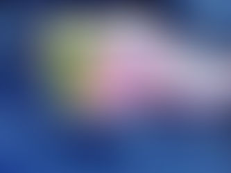 Wohin fließen deutsche Gelder und warum wächst die Unzufriedenheit im Land?