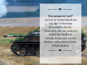 Die Debatte um Asylpolitik und innere Sicherheit: Zwischen Meinungsäußerung und Rechtsstaatlichkeit