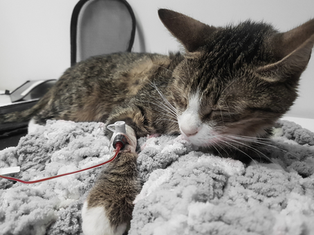 🐾 "Uns trifft das nicht …" – oder doch?