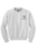 Thumbnail: #6 Attucks Unisex Adult S-3XL  Crew Neck Sweat Shirt with Logo