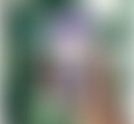 How Online Shopping, Contributes to a Greener Planet