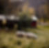 AnnaFarm_JG_Fall23_0128_LR.JPG