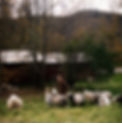 AnnaFarm_JG_Fall23_0127_LR.JPG