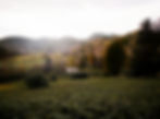 AnnaFarm_JG_Fall23_0036_HR2_edited.jpg