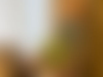 Vleugellam door het leven?