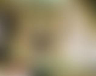 Het slangenverhaal van MOZES