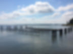 Oyster cages on water