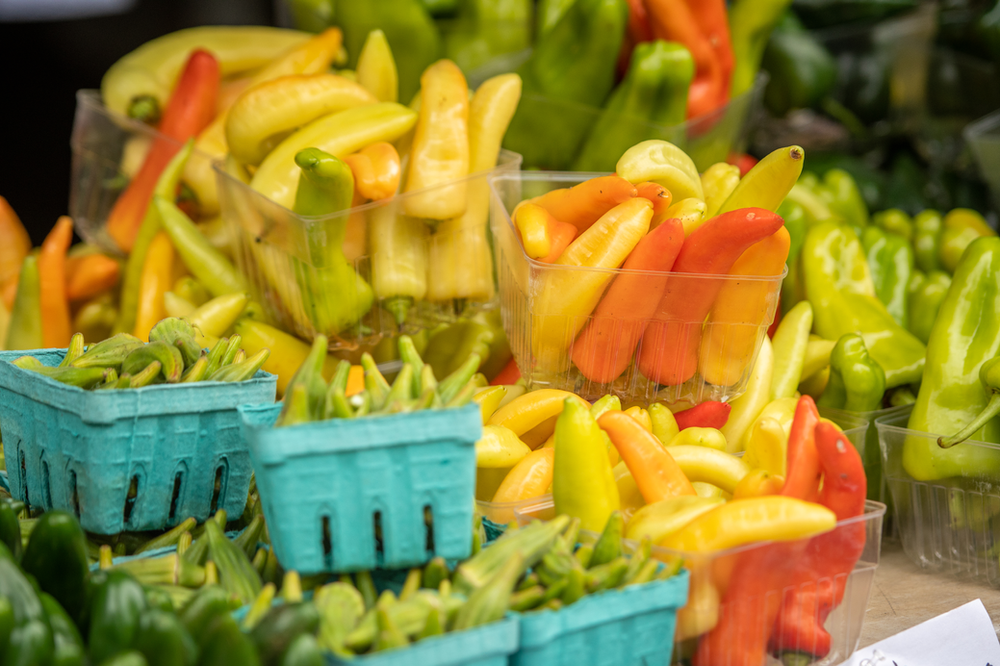 Produce Safety Rule Grower Training May 18 in Princess Anne