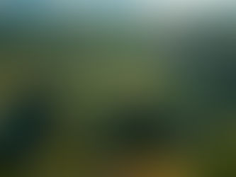 Regenerating Maryland: The Chesapeake Bay Legacy Act’s Impact on Agriculture