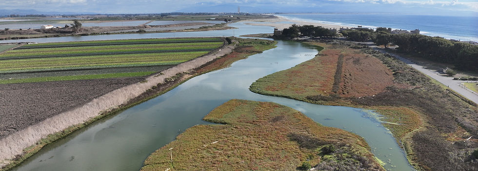 DJI_20251015154257_0006_D (2).JPG
