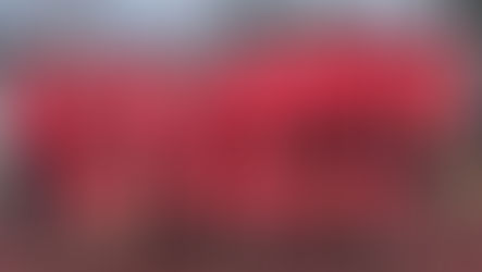 ER launches a new softball team