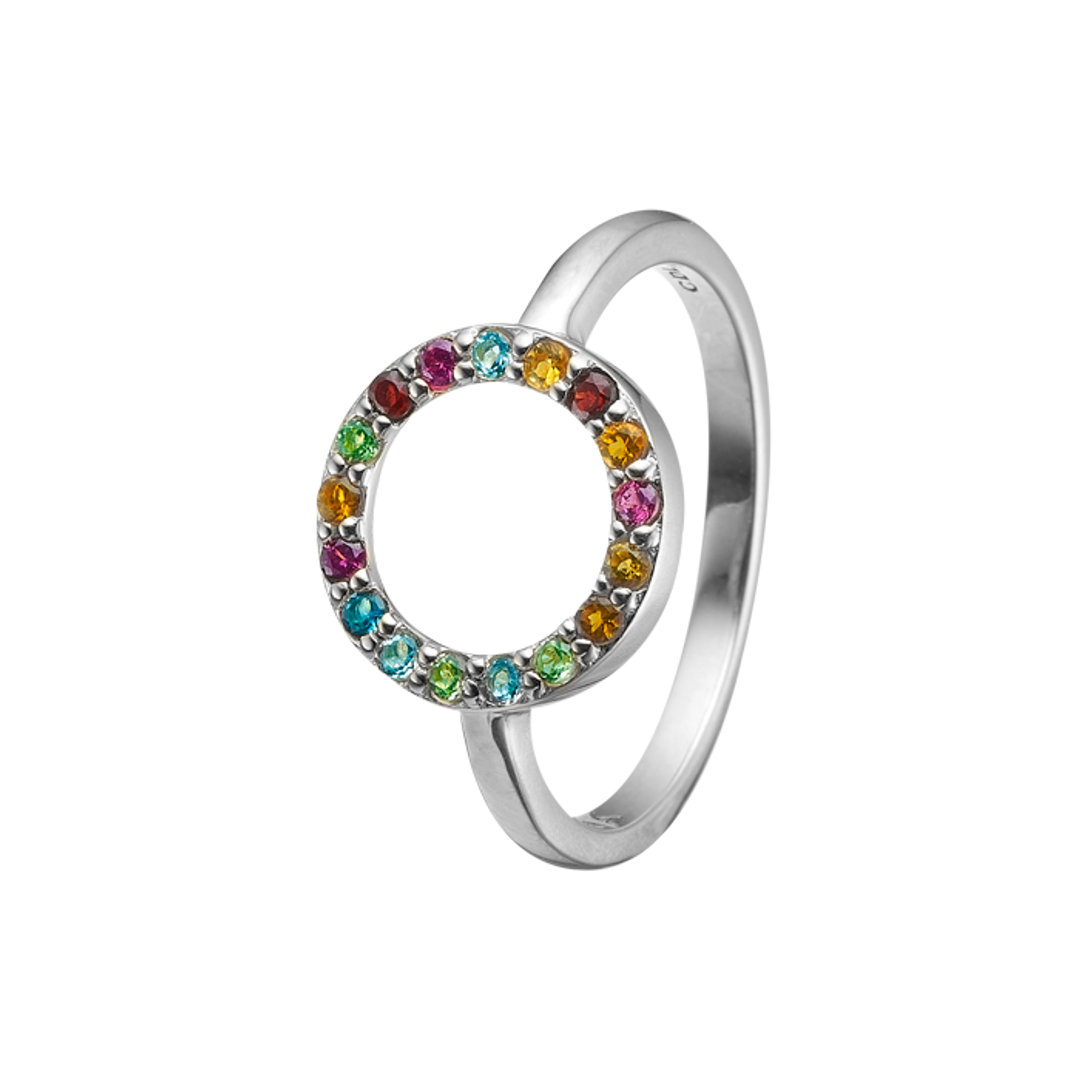 Life Goals Ring with 18 Multi Coloured Genuine Gemstones - Silver