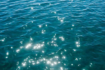 iStock-1307431348.jpg