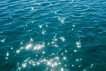iStock-1307431348.jpg
