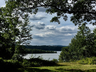 The Growing Hyde Park Trail