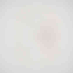 2. Project - bridal shower